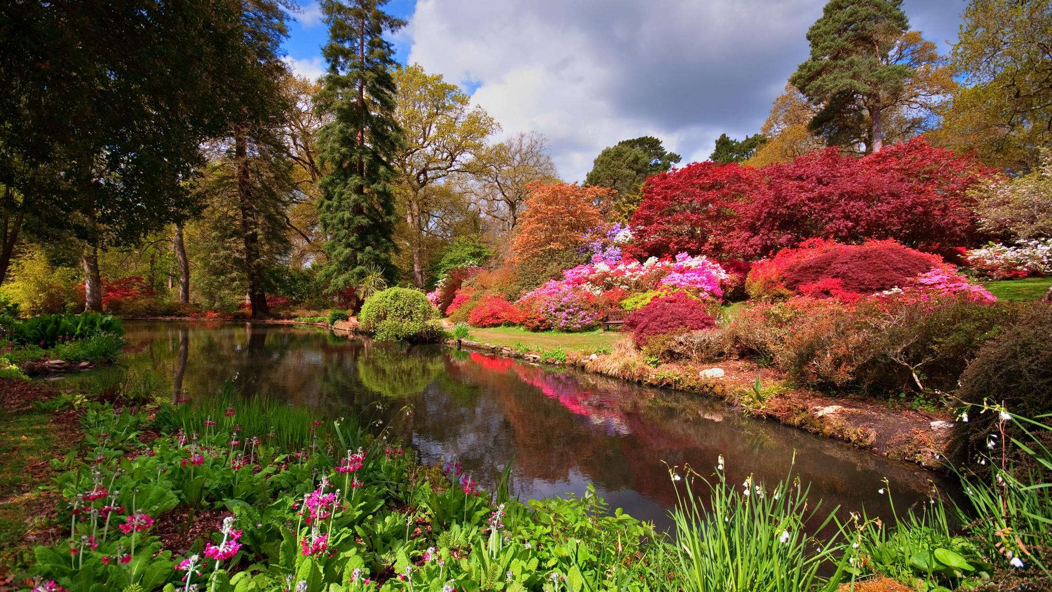 selection-header