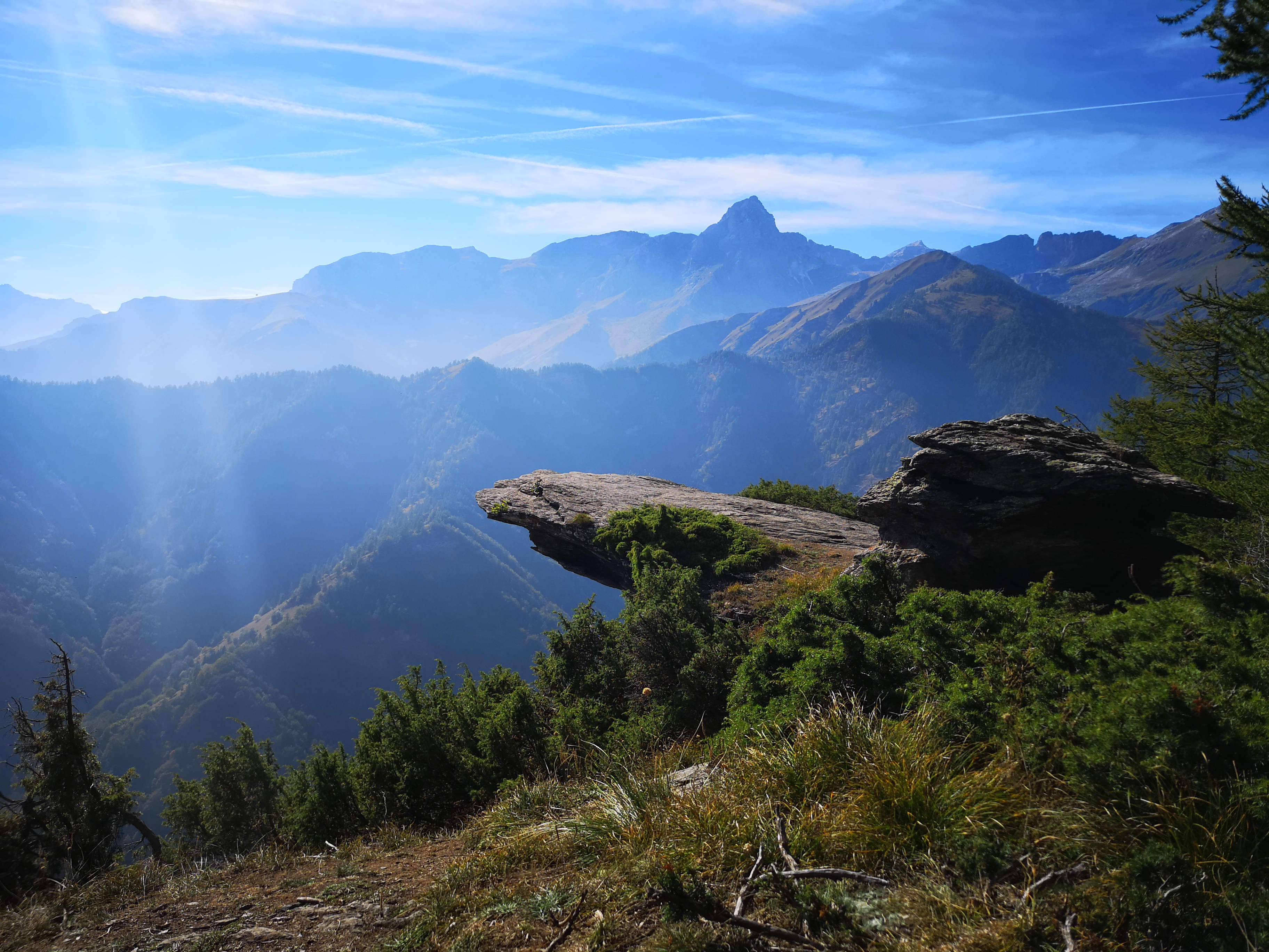 selection-header