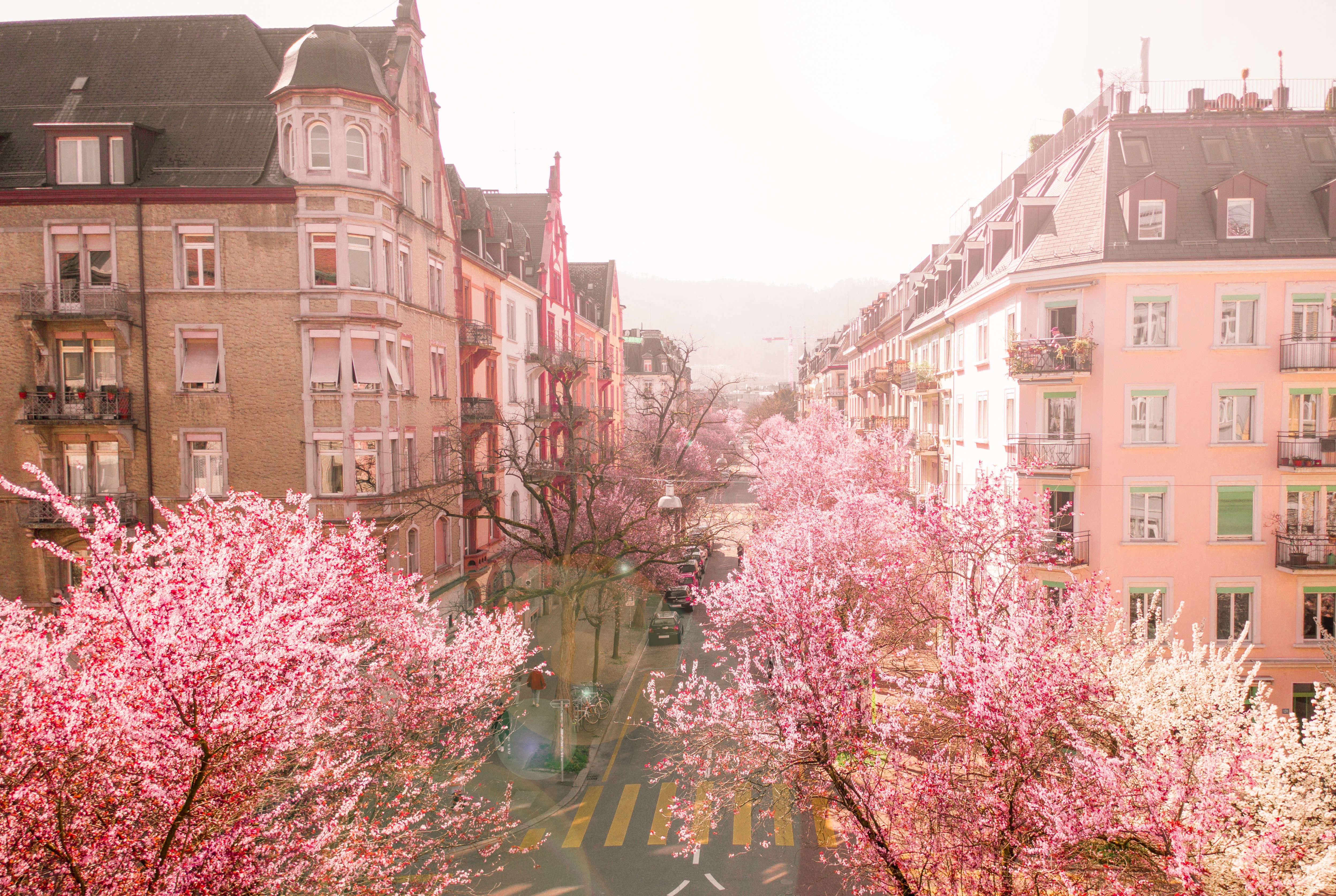 selection-header