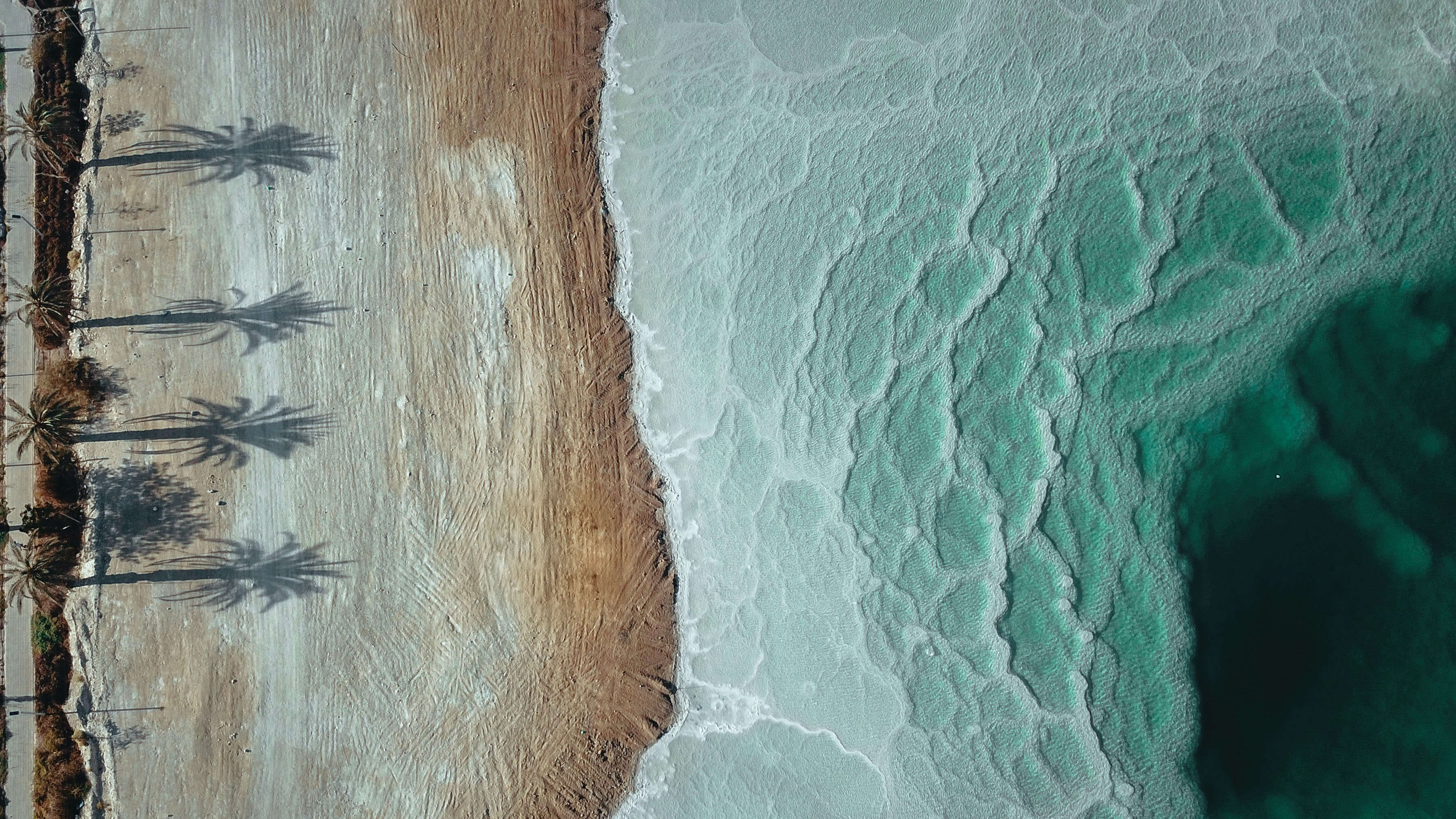 selection-header