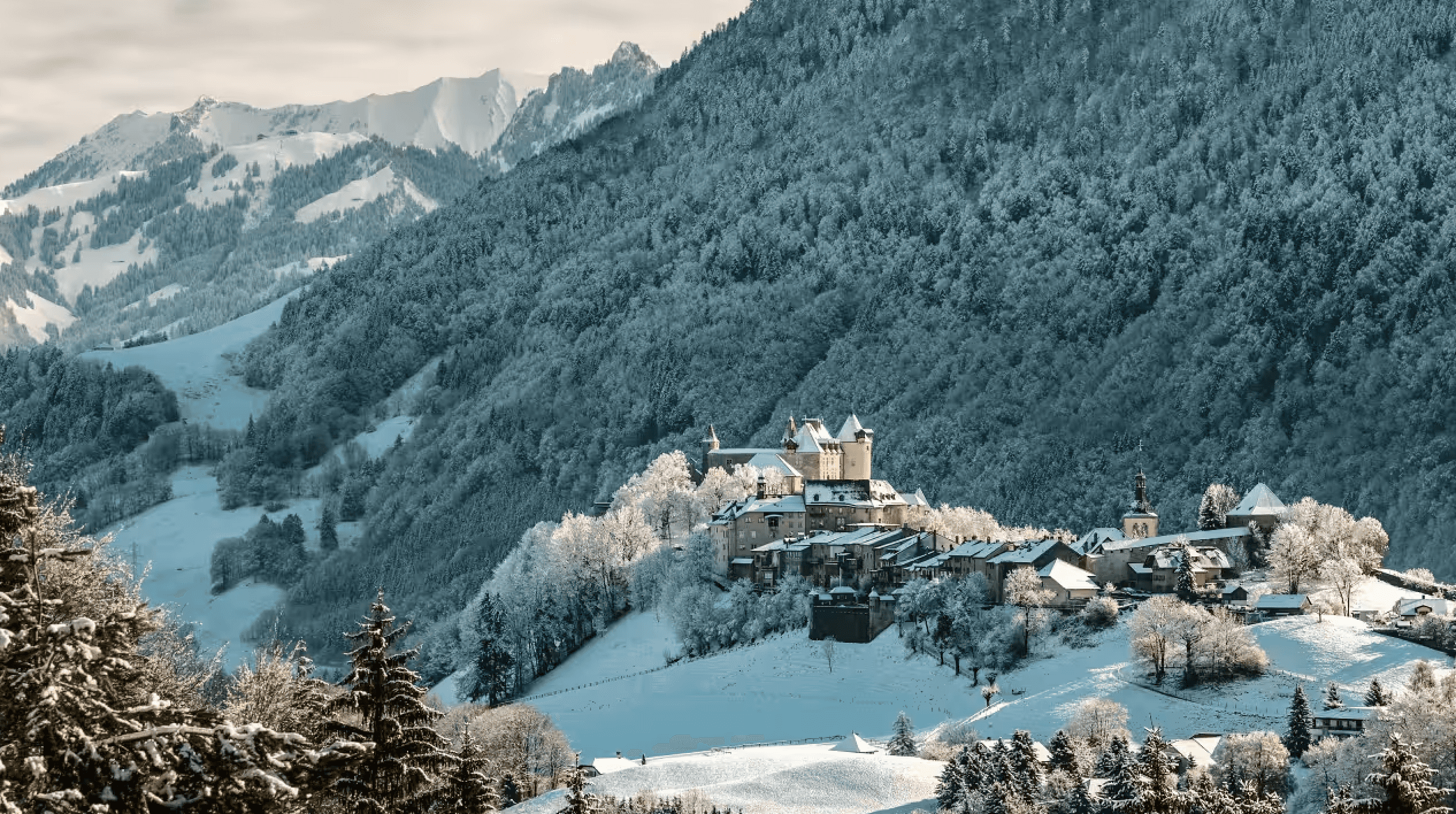 selection-header